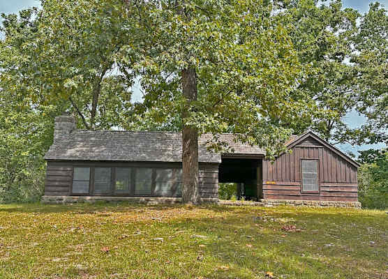 Pin Oak 1