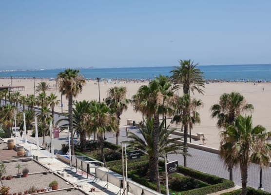 Sol Playa Suites 1