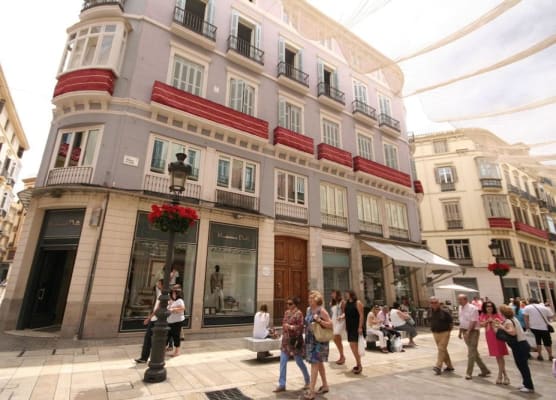Apartamentos Calle Larios 1