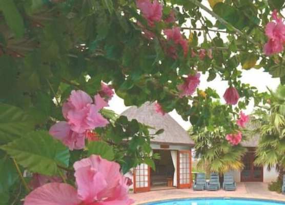 French Lodge International 1