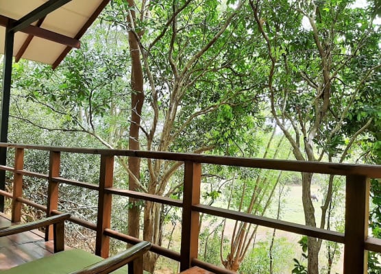 Elephant Lodge 1