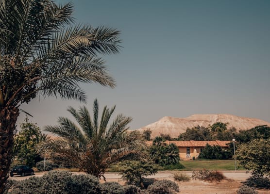 Almog Hotel 1