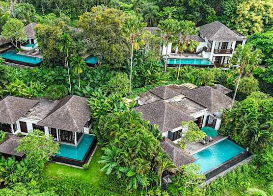 The Damai 1