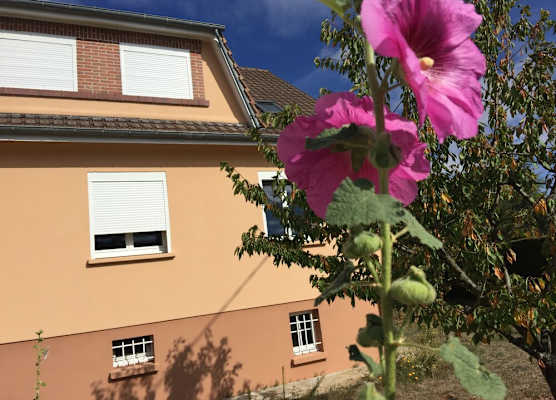 Jolie halte normande 1
