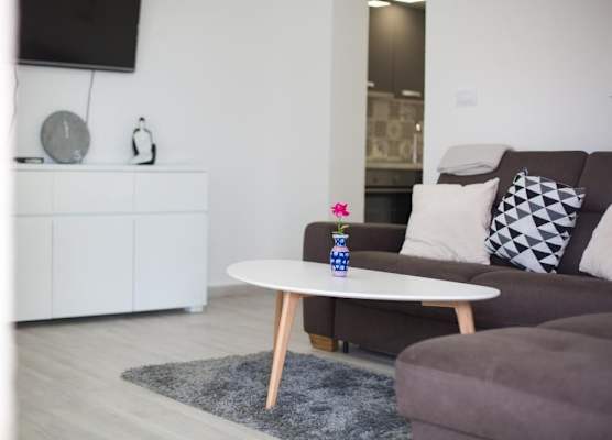 Serious Job Apartment 1