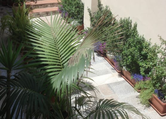 Guest House Il Giardino Segreto 1