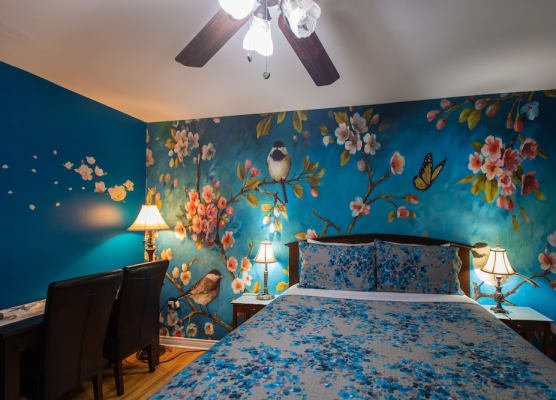 Prince Street Suites 1