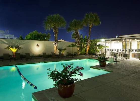 Holiday Inn HOUSTON S - NRG AREA - MED CTR by IHG 1