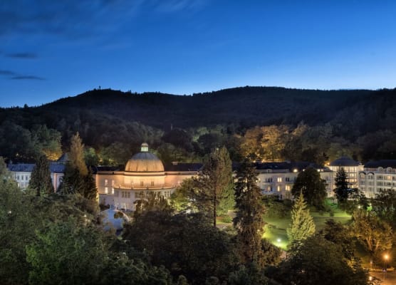 Maritim Hotel Bad Wildungen 1