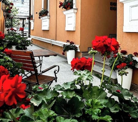 BUCUR 9 Boutique Hotel 1