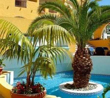Apartamentos Albatros 1