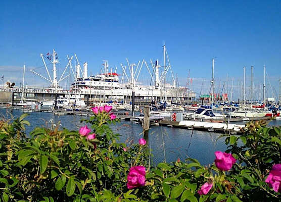 Moin Hotel Cuxhaven 1