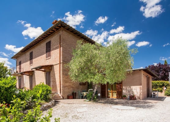 Agriturismo Podere Camollia 1