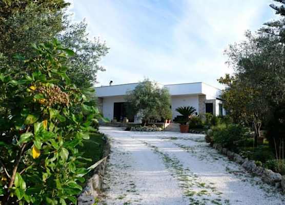 Vacanze al Minci 1