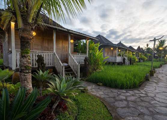 Uma Sebatu Villa Ubud 1