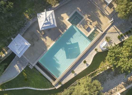 Tenuta Olive Alive 1