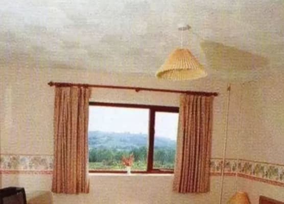 Scottshotel 1
