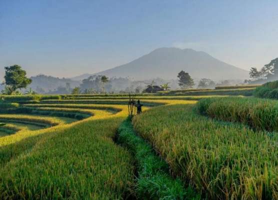 Gladak di uma bali 1