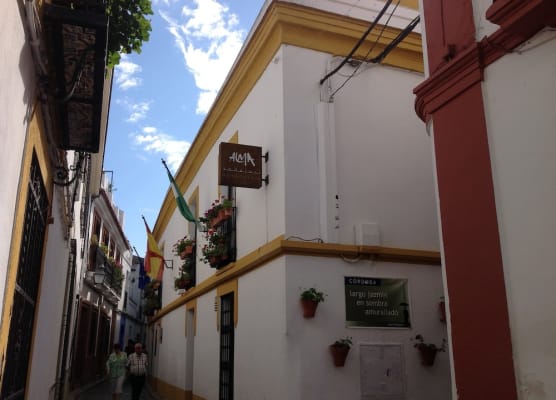 HOTEL BOUTIQUE ALMA ANDALUSí 1