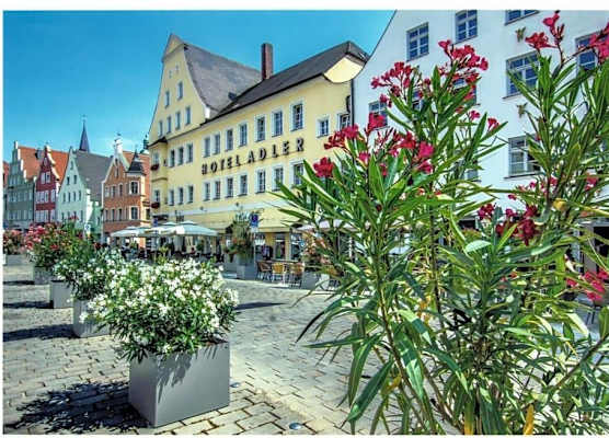 Hotel Adler 1