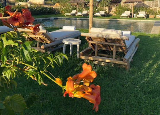 Quinta Baltazar 1