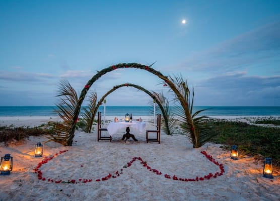 Hakuna Majiwe Beach Lodge 1