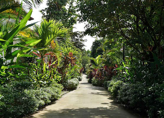 Rainforest Resort Phu Quoc 1