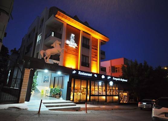 Microyal Hotel 1