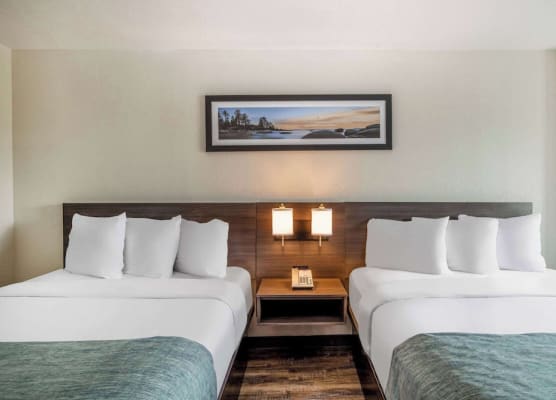 Wingate by Wyndham Butte City Center 1
