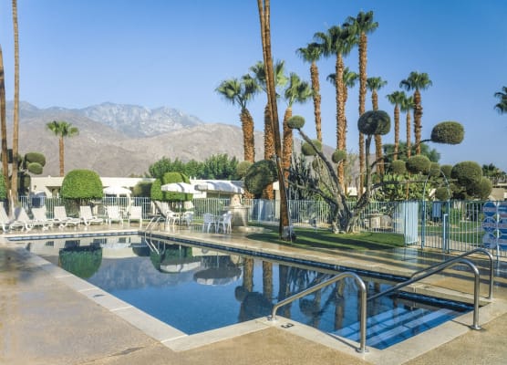 Desert Isle of Palm Springs 1