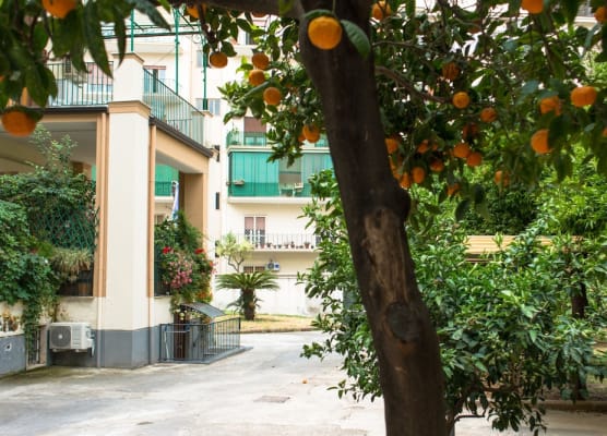 B&B Il Nido 1