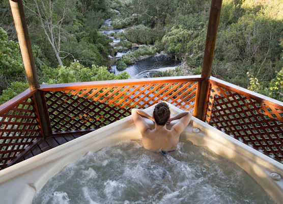 The Fernery Lodge & Spa 1