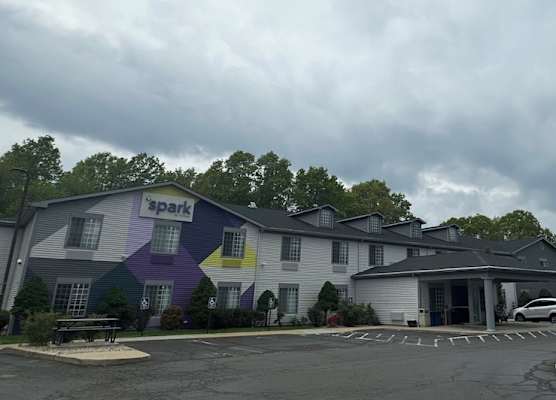 Spark by Hilton Guilford 1
