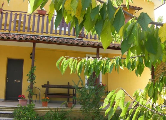 Life B&B 1