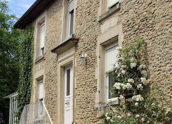 Blumereve 1