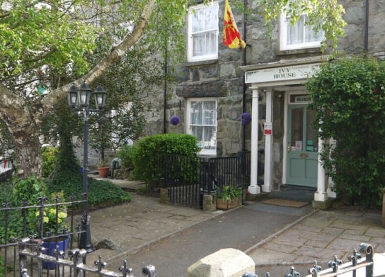 Ivy House B&B 1
