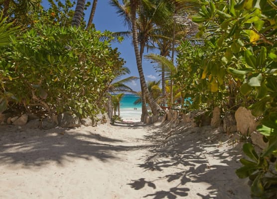 Dos Ceibas Tulum - Feel Good Hotel 1