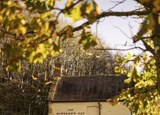 Winyard's Gap Inn 1