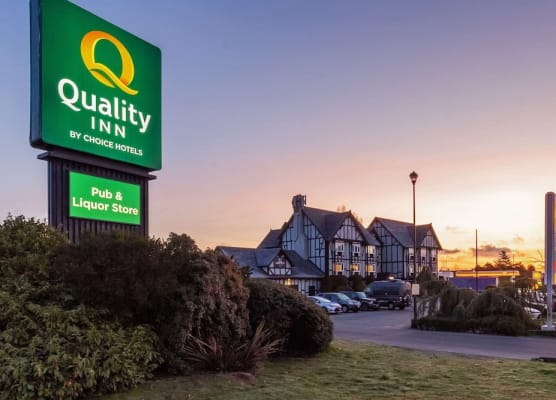 Quality Inn Waddling Dog 1