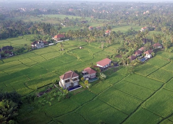 The Samara Villas & Restaurant 1