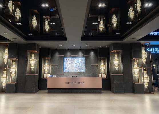 Eliena Hotel Seoul Gangnam 1