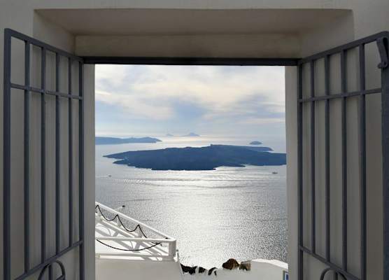 Exclusive Suites 1