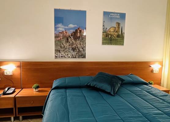 Hotel Vico Alto Siena 1