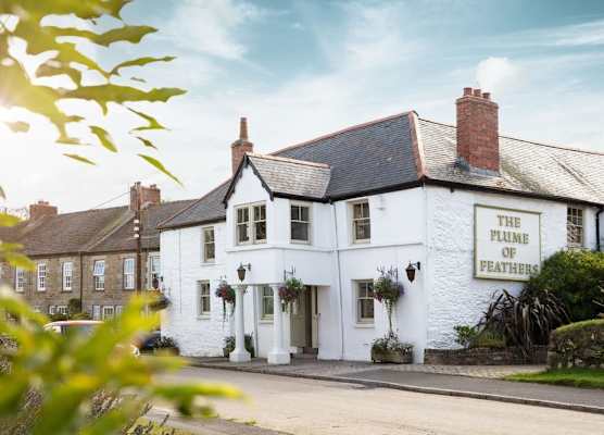 The Plume of Feathers 1