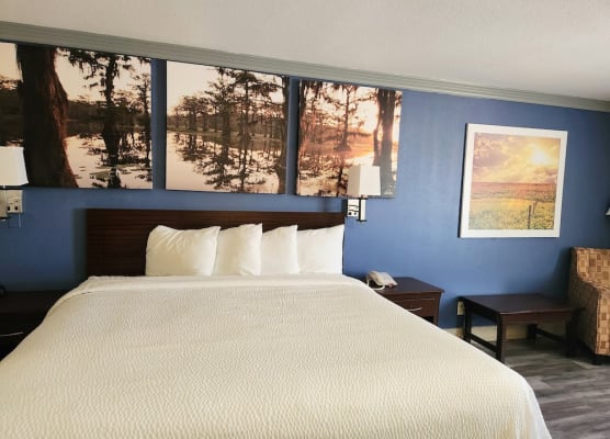 Days Inn by Wyndham Rosenberg 1