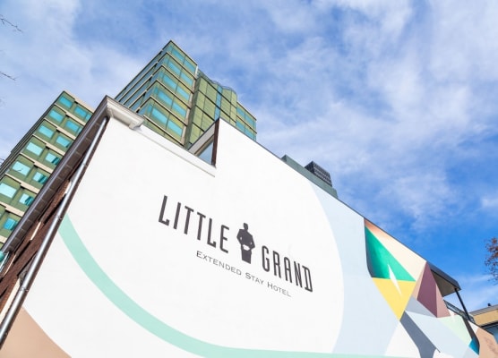 Little Grand 1