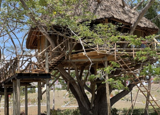 Antonio Beach Hotel & Spa -with treehouse and biggest swimming pool in East Africa 1