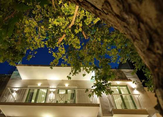 The Tree Suites 1