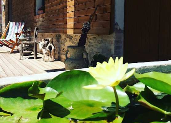 Lotus House 1