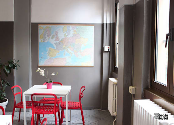 Koala Hostel 1